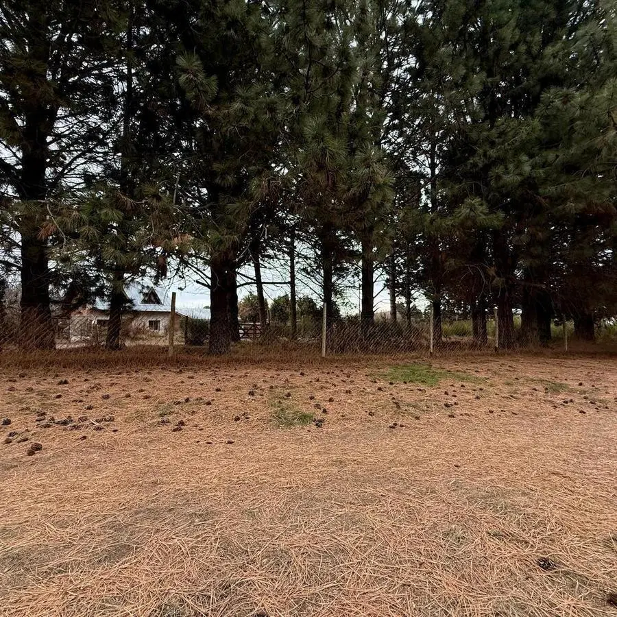 Terreno en San Carlos De Bariloche 5