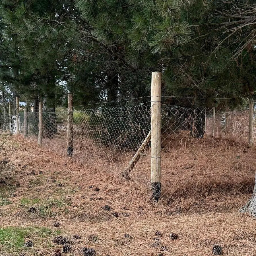 Terreno en San Carlos De Bariloche 8