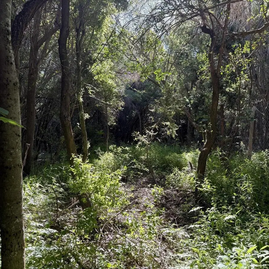 Terreno en venta en Lomas de Cauquén 3