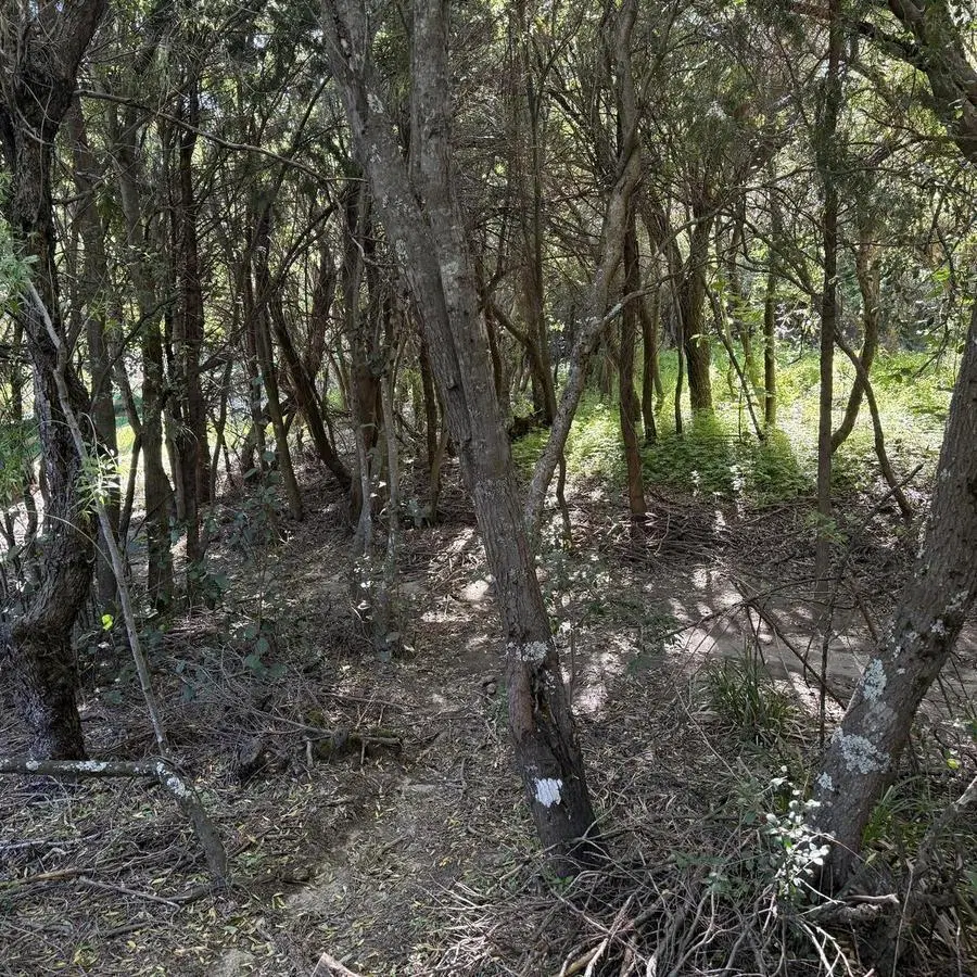 Terreno en venta en Lomas de Cauquén 4