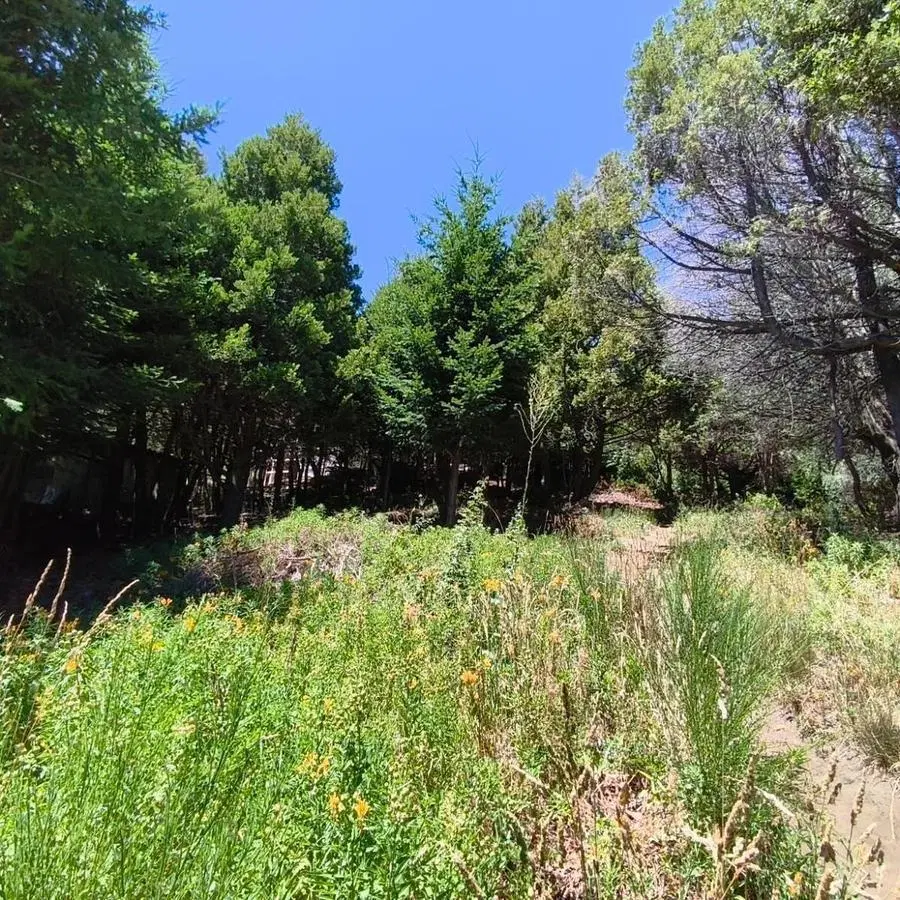 Terreno en San Carlos De Bariloche 8