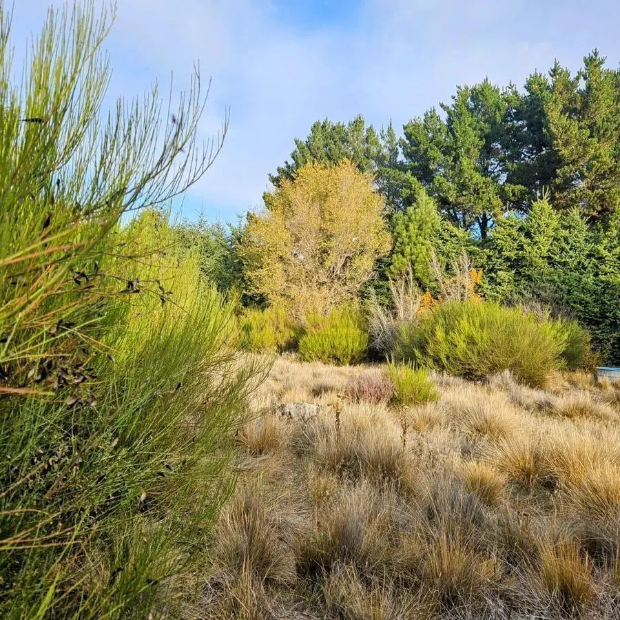 Terreno en  venta, Dina Huapi 5