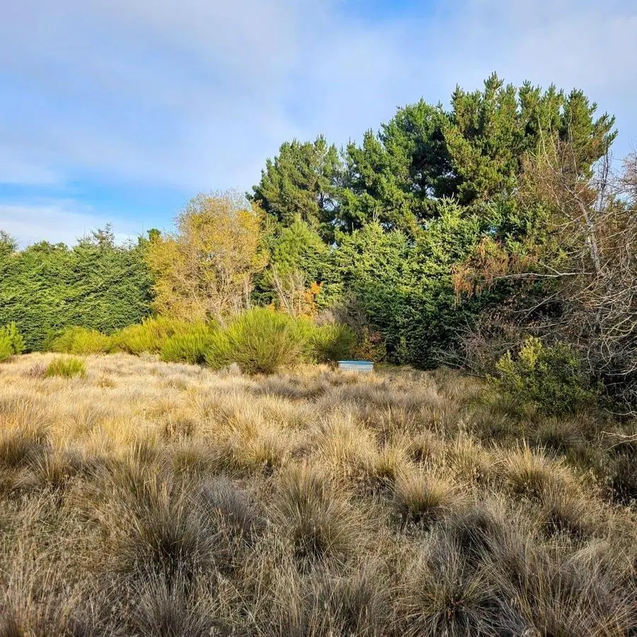 Terreno en  venta, Dina Huapi 4