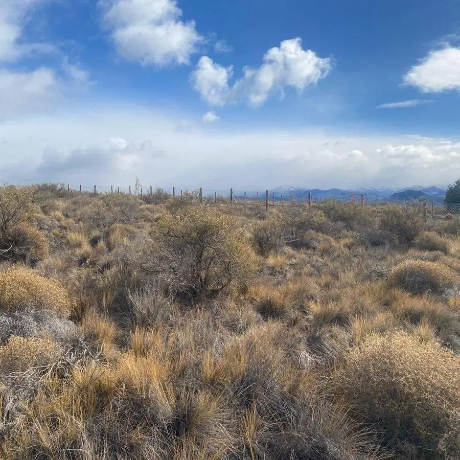 Terreno Plano en Barrancas de Dina Huapi . Lote 52 4