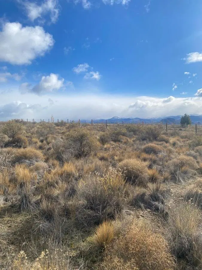 Terreno Plano en Barrancas de Dina Huapi . Lote 52 5