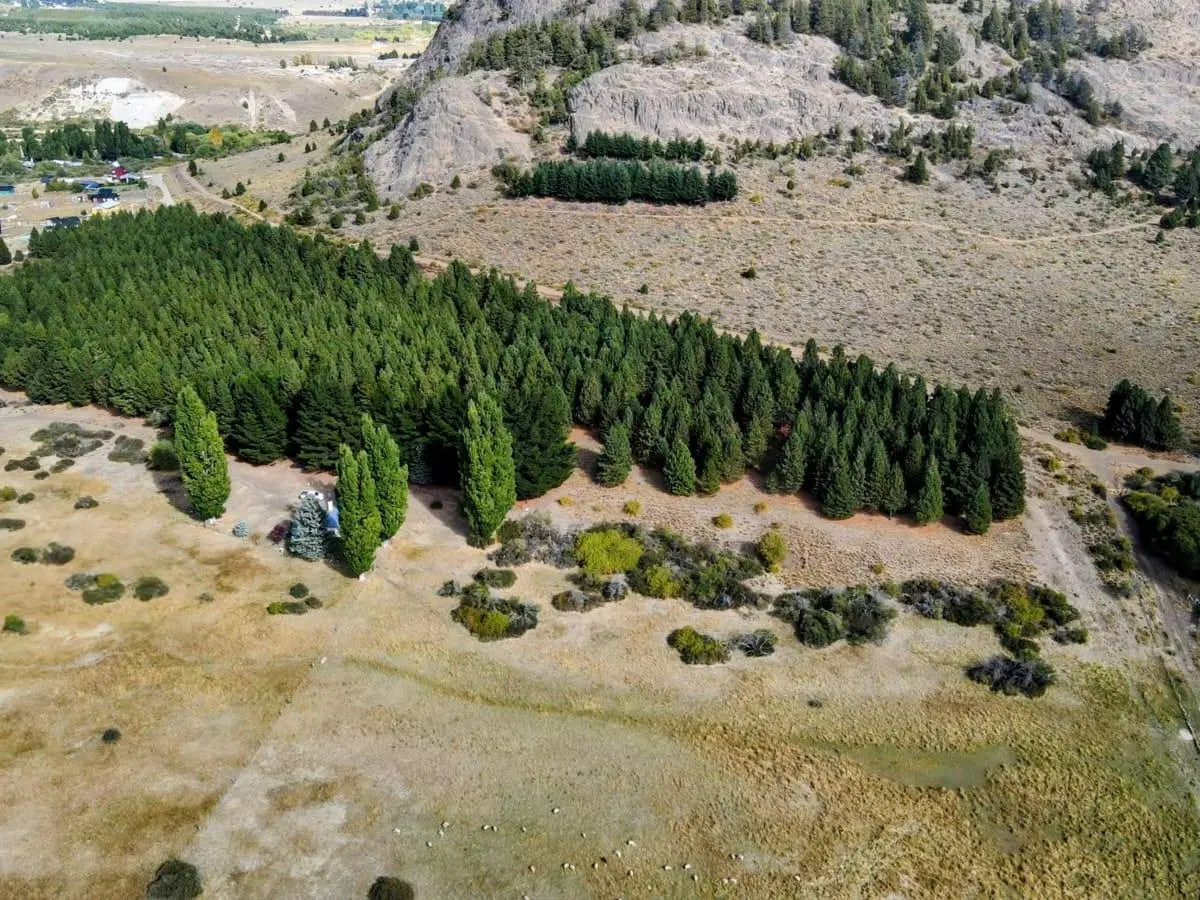 Campo en  venta en Ñirihuau 8