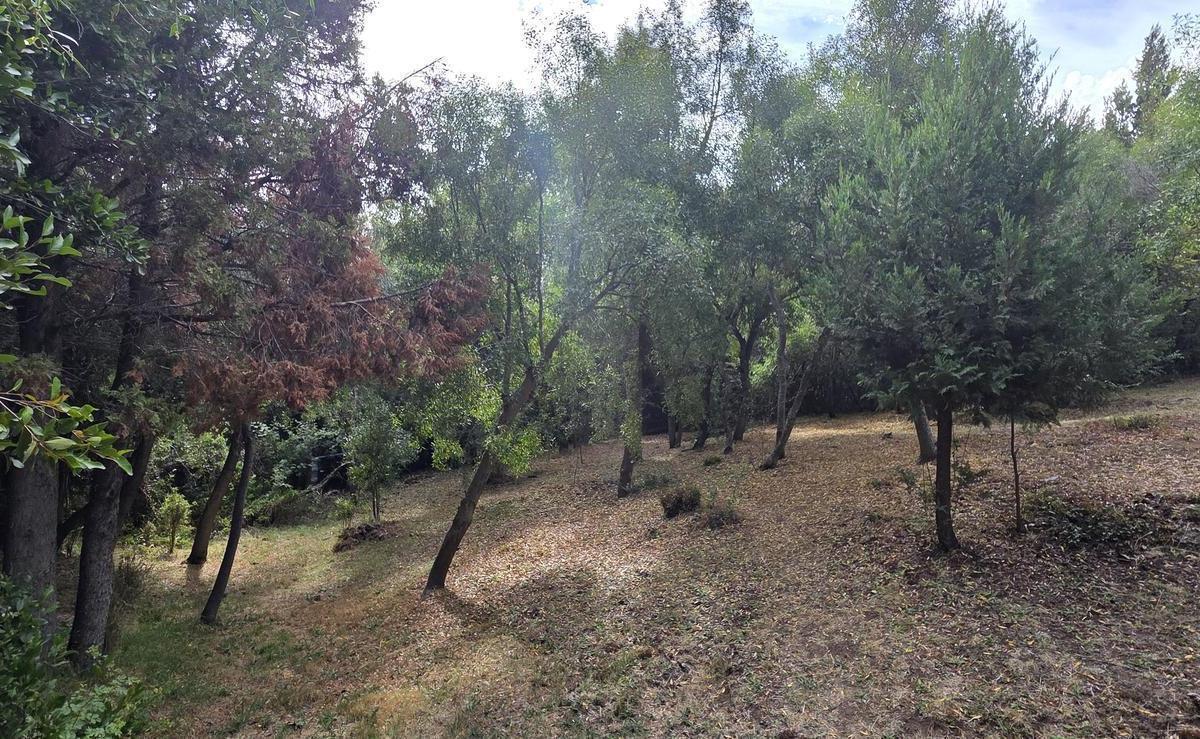 Foto de Terreno en Venta, imagen 1