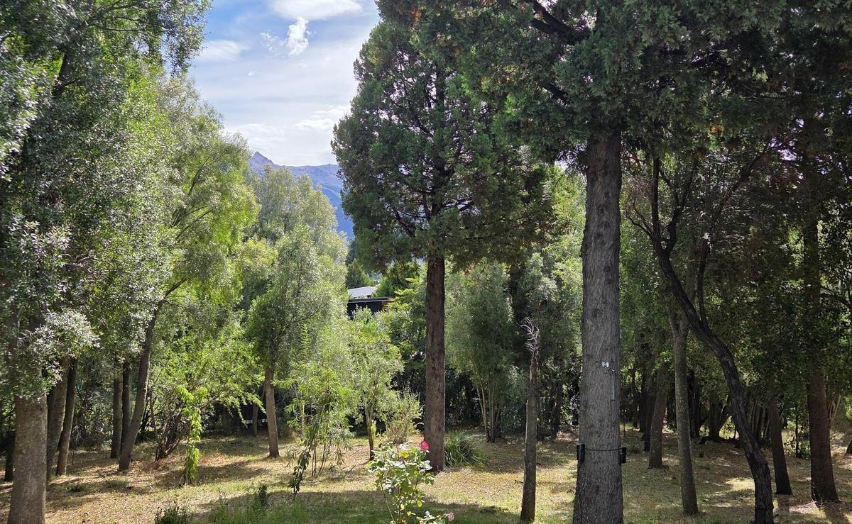 Foto de Terreno en Venta, imagen 3