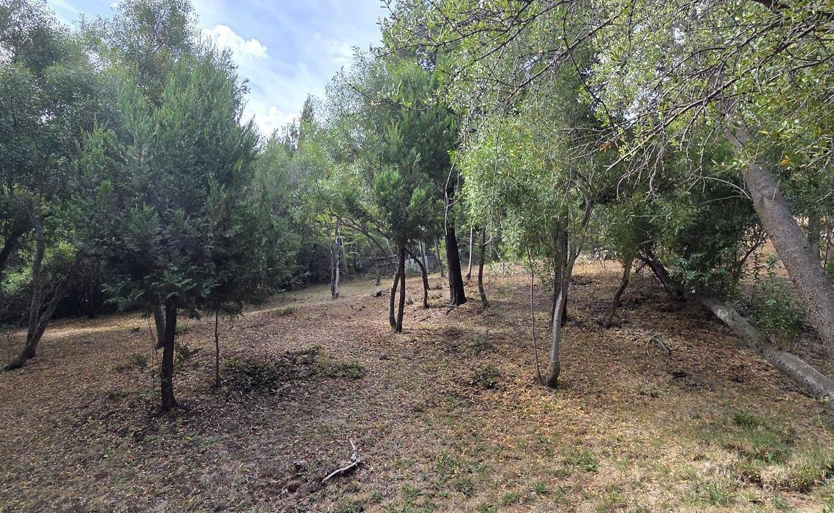 Foto de Terreno en Venta, imagen 5
