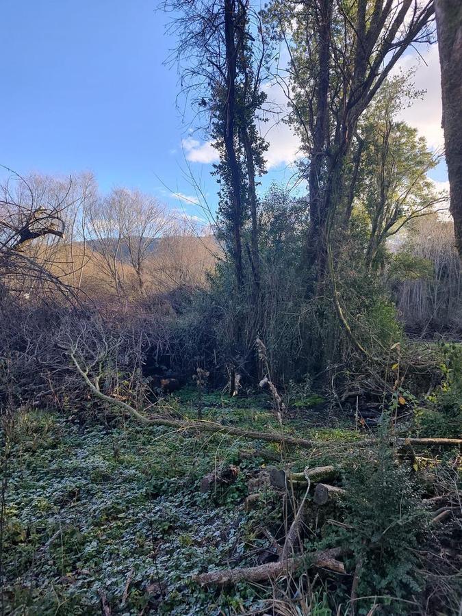 Foto de Terreno en Venta Cerro Radal, Ruta 16, imagen 2