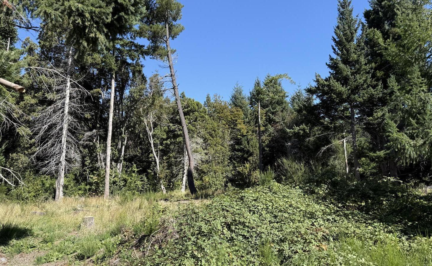 Foto de Terreno en venta, imagen 5