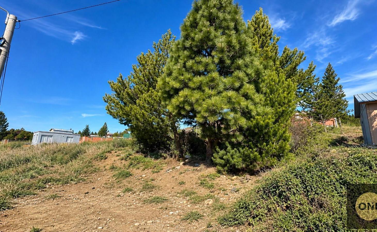 Foto de Terreno en venta Quimey Ruca, imagen 1