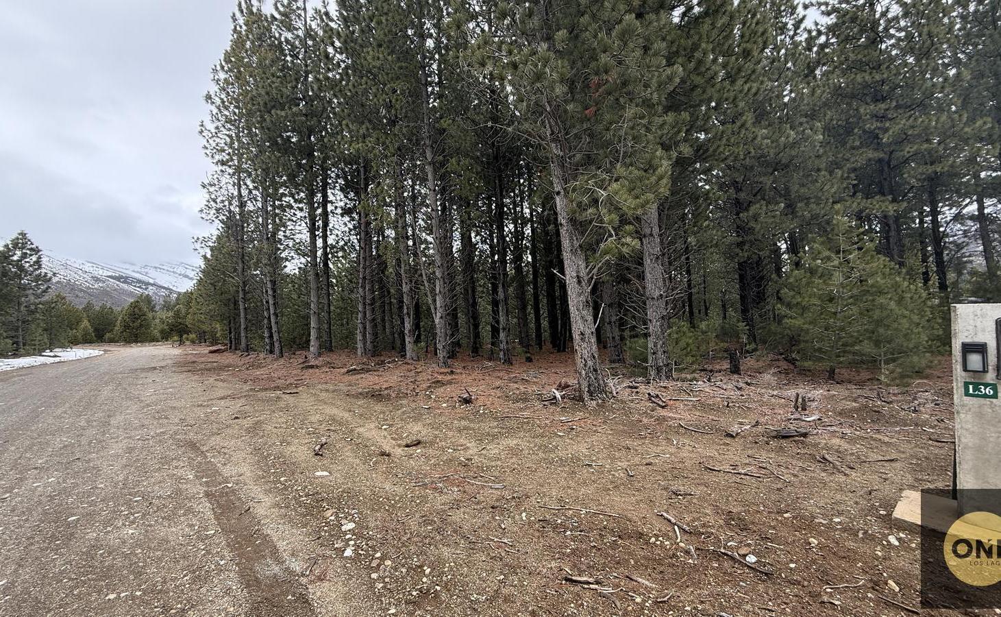 Foto de Terreno en Venta en Dos Valles L36, imagen 2
