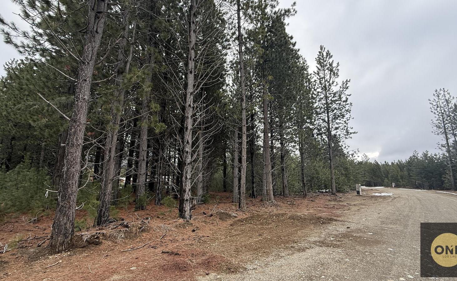 Foto de Terreno en Venta en Dos Valles L36, imagen 4