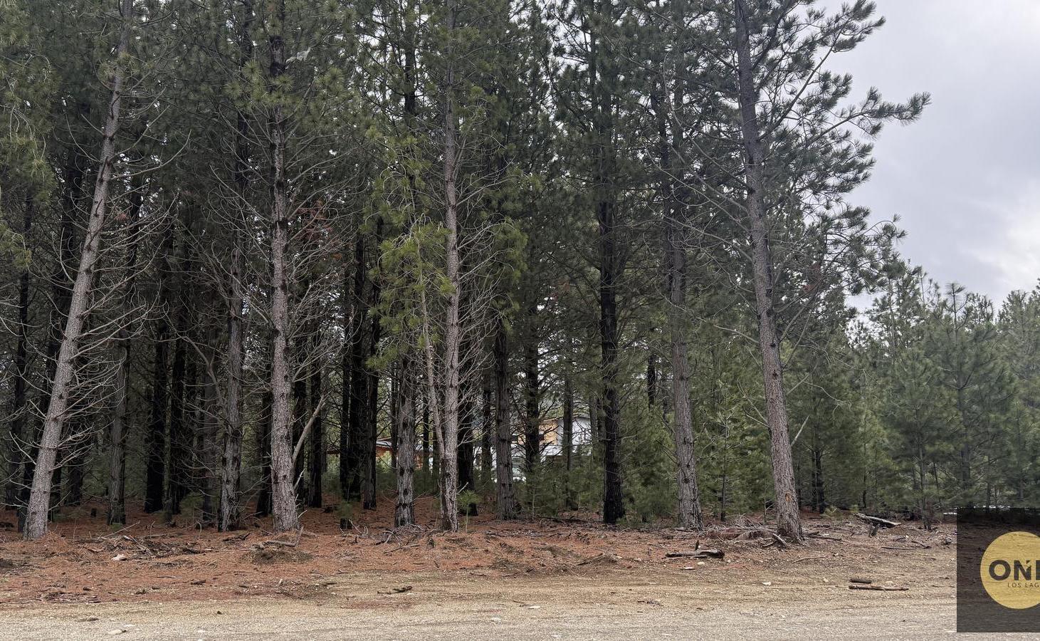 Foto de Terreno en Venta en Dos Valles L36, imagen 1