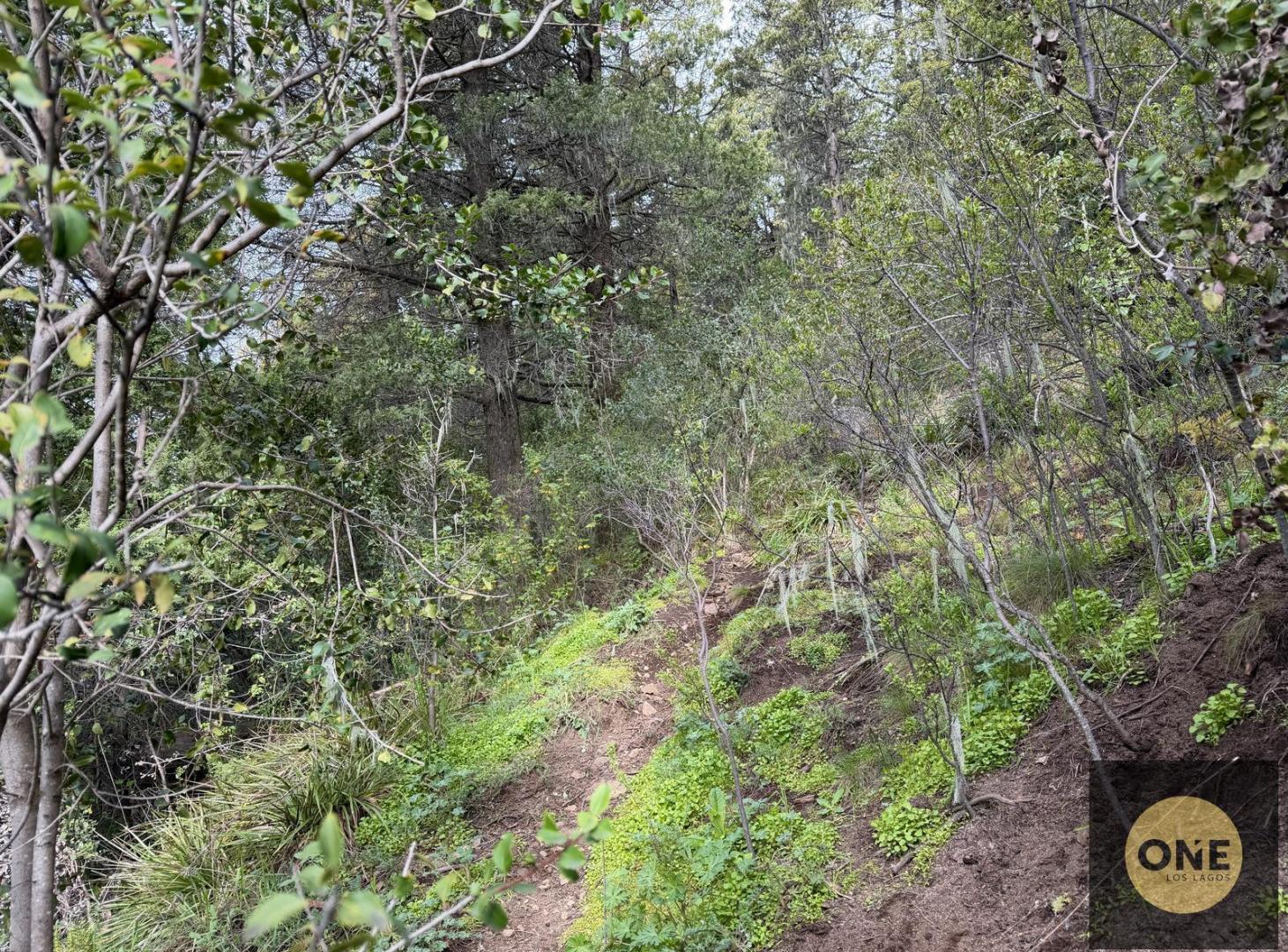 Foto de Terreno apto PH en venta en Barrio Casa de Piedra, imagen 2