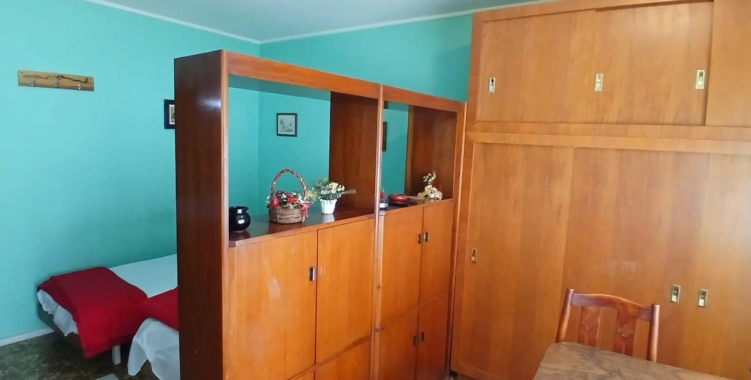 Venta de departamento - 1 ambiente - a la calle - Plaza Colon - Mar del Plata 3