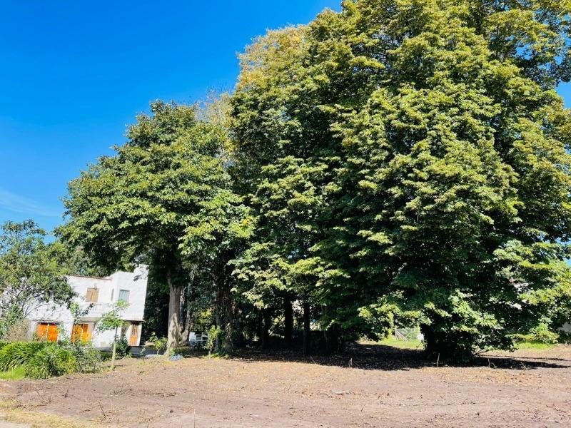 Foto de Venta de terreno en Sierra de los Padres - Ricardo entre Noemí y Tulio, imagen 2