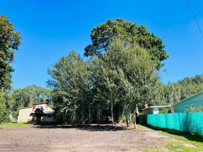 Foto de Venta de terreno en Sierra de los Padres - Ricardo entre Noemí y Tulio, imagen 3