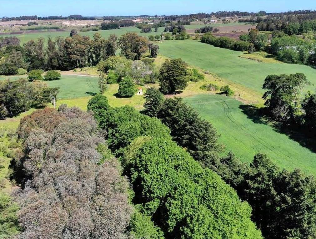 Foto de Venta de campo de 75 hectáreas - Ruta 88 Km 14,5 - Mar del Plata, imagen 1