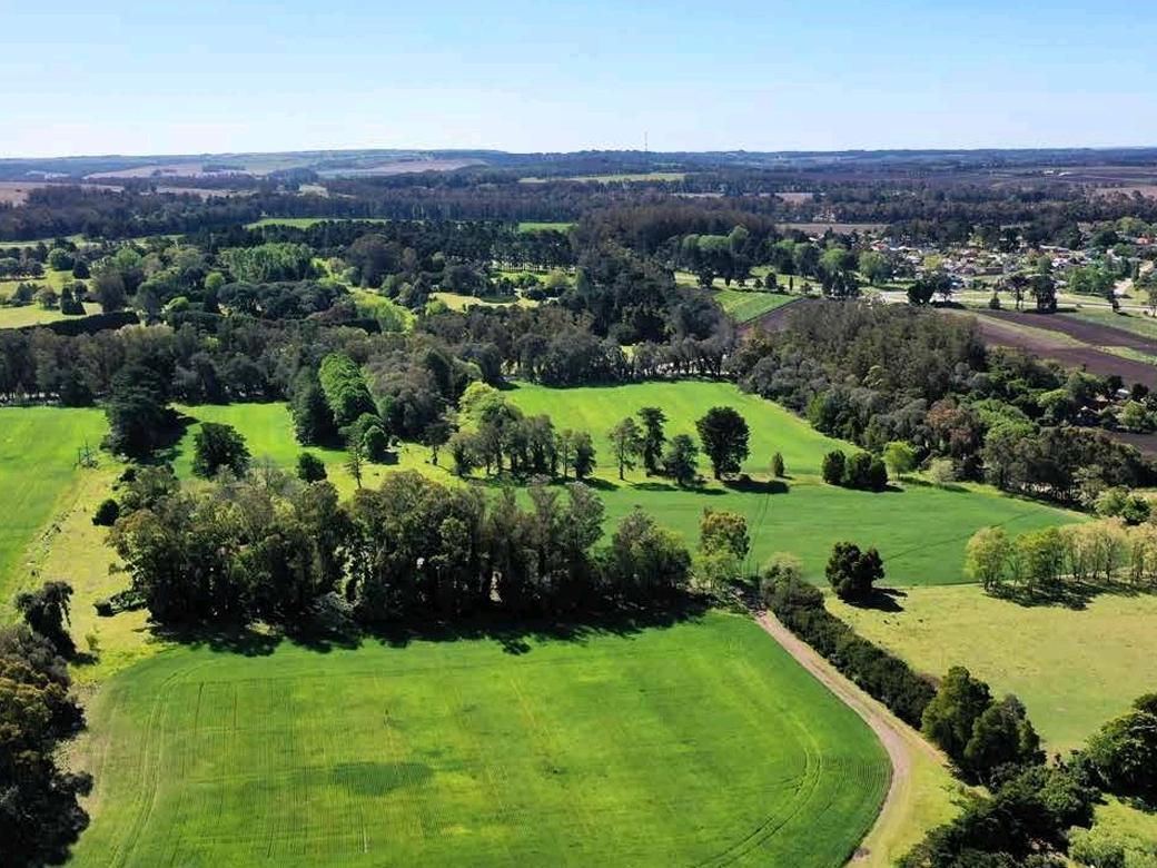 Foto de Venta de campo de 75 hectáreas - Ruta 88 Km 14,5 - Mar del Plata, imagen 2