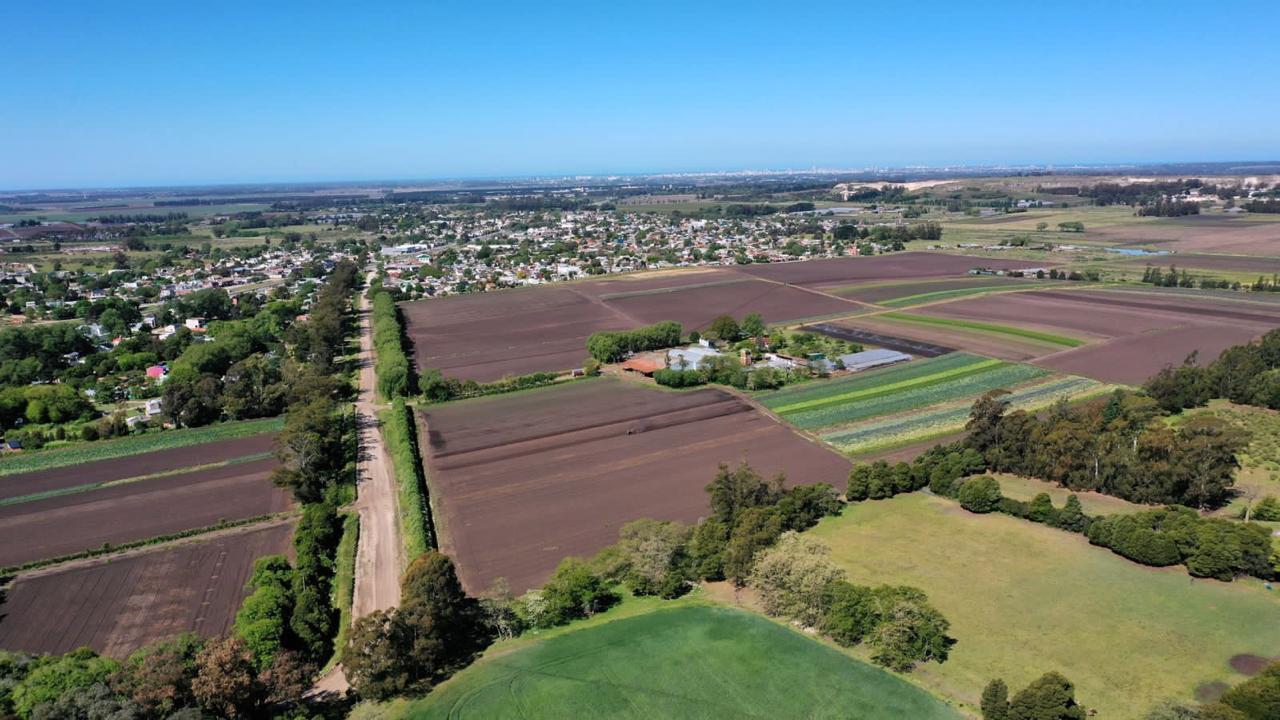 Foto de Venta de campo de 75 hectáreas - Ruta 88 Km 14,5 - Mar del Plata, imagen 4