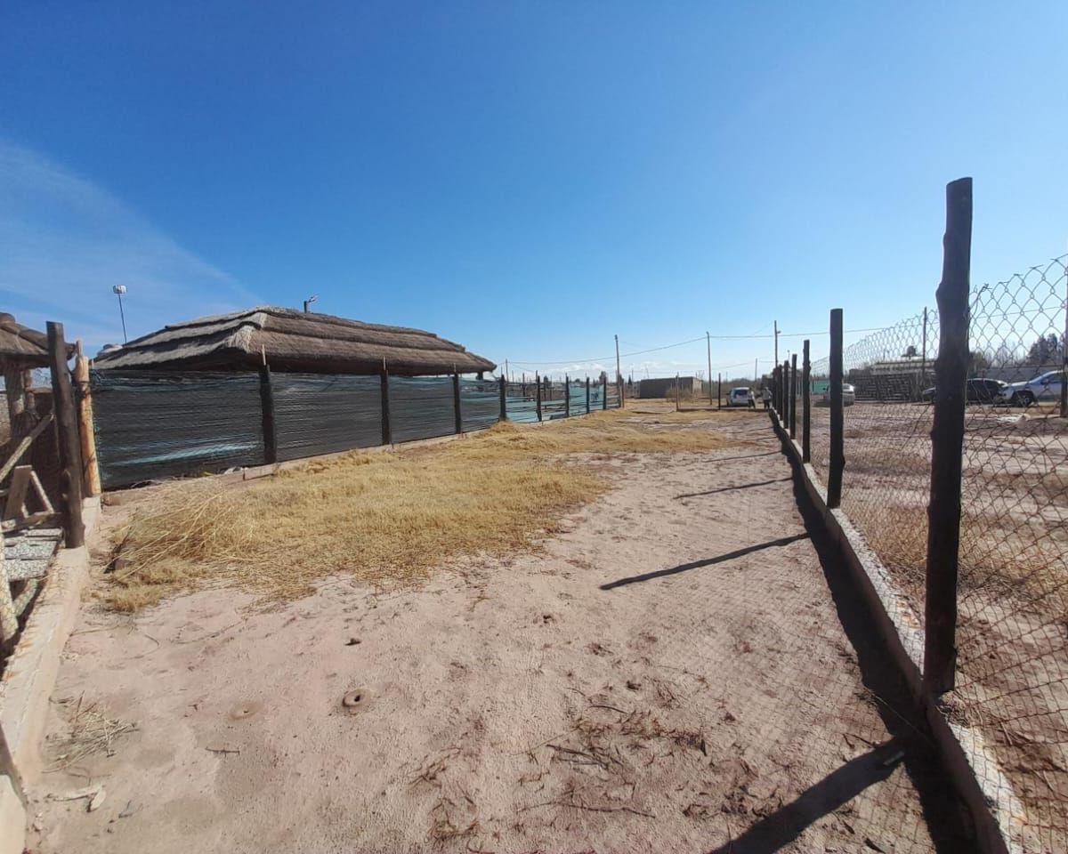Lote. | Los Pinos 3