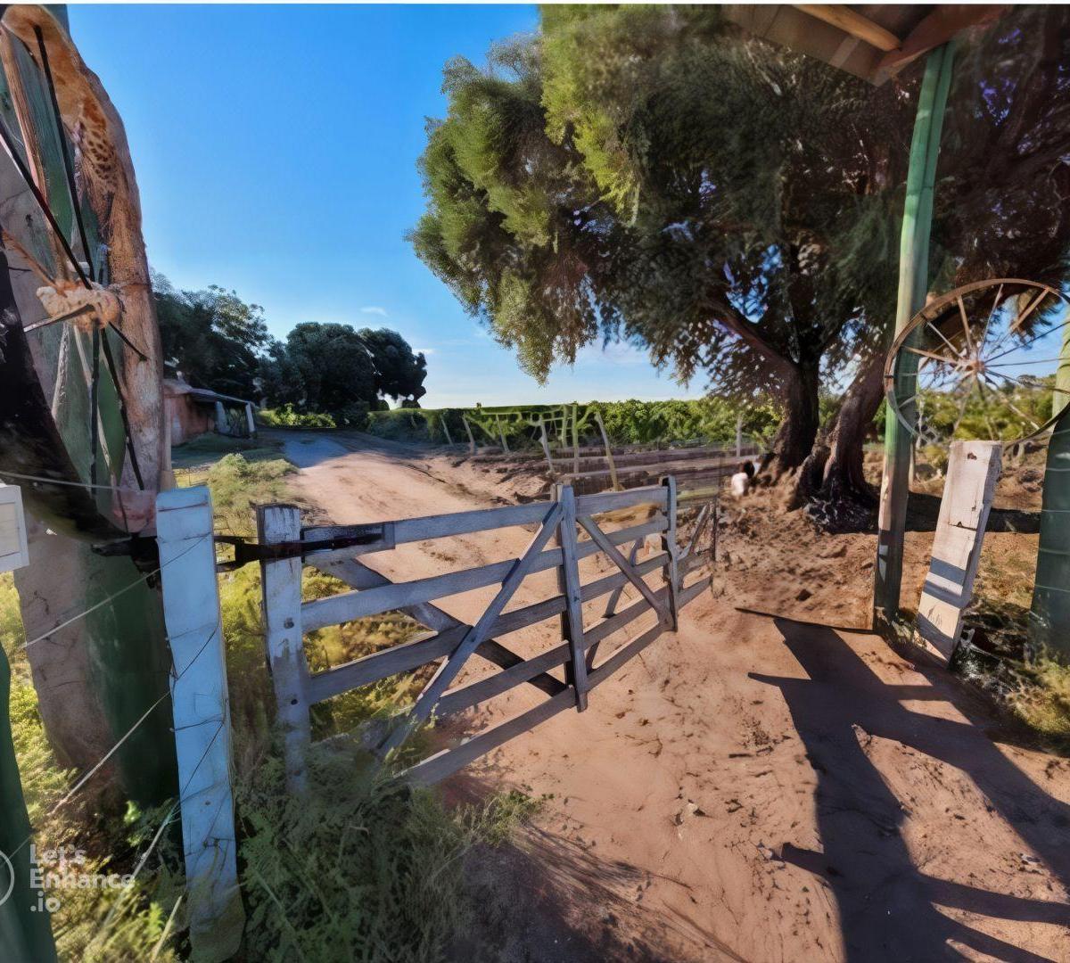 Venta de Finca en Mendoza 5