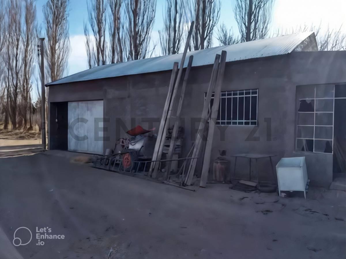 Venta de Finca en Mendoza 3