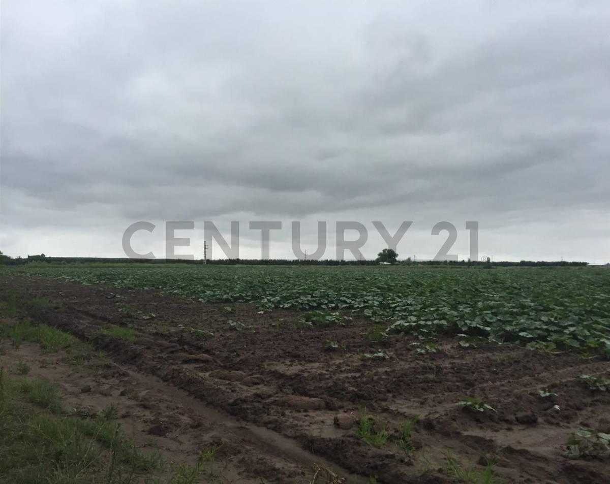 Foto de FINCA EN VENTA SAN CARLOS, imagen 5