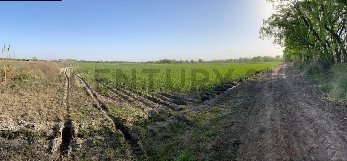 Foto de FINCA EN VENTA SAN CARLOS, imagen 2