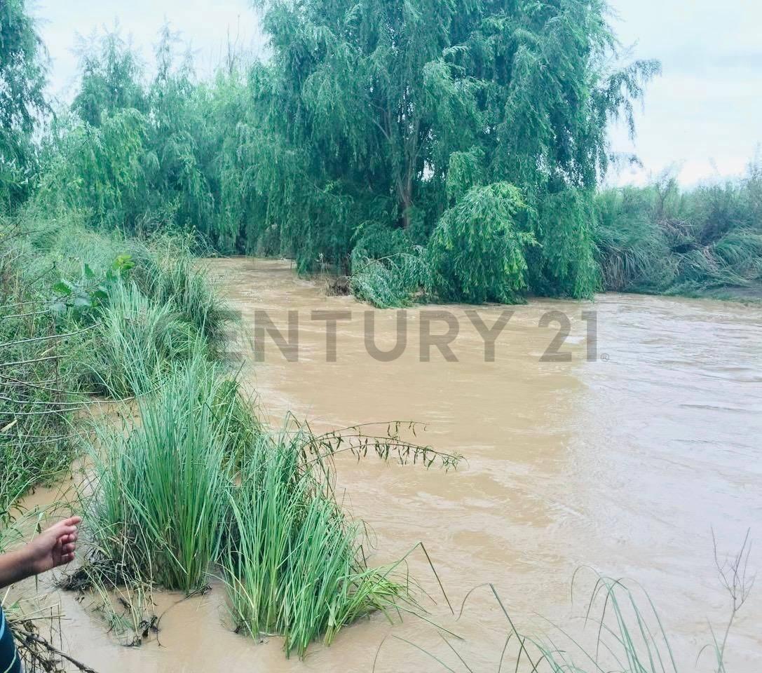 Foto de FINCA EN VENTA SAN CARLOS, imagen 3