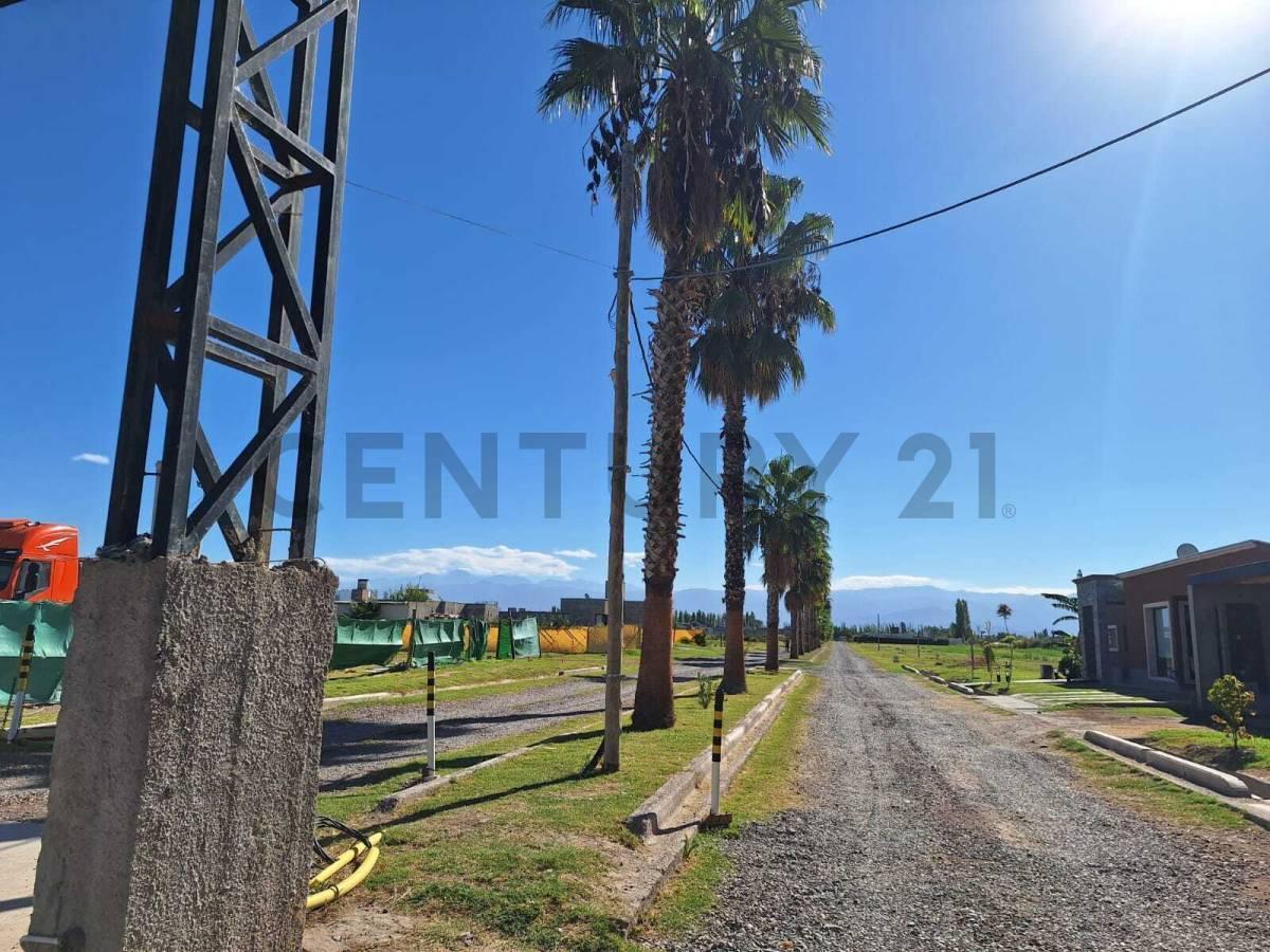 Lote en Venta – Barrio Privado Arauco III – Corralitos - 523 m² 4