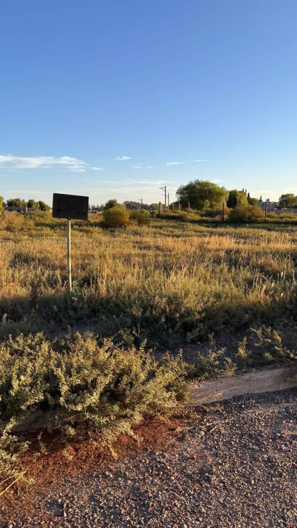 Lote en Venta Barrio Nautilus Country Nautico - El Sauce, Guaymallen 4