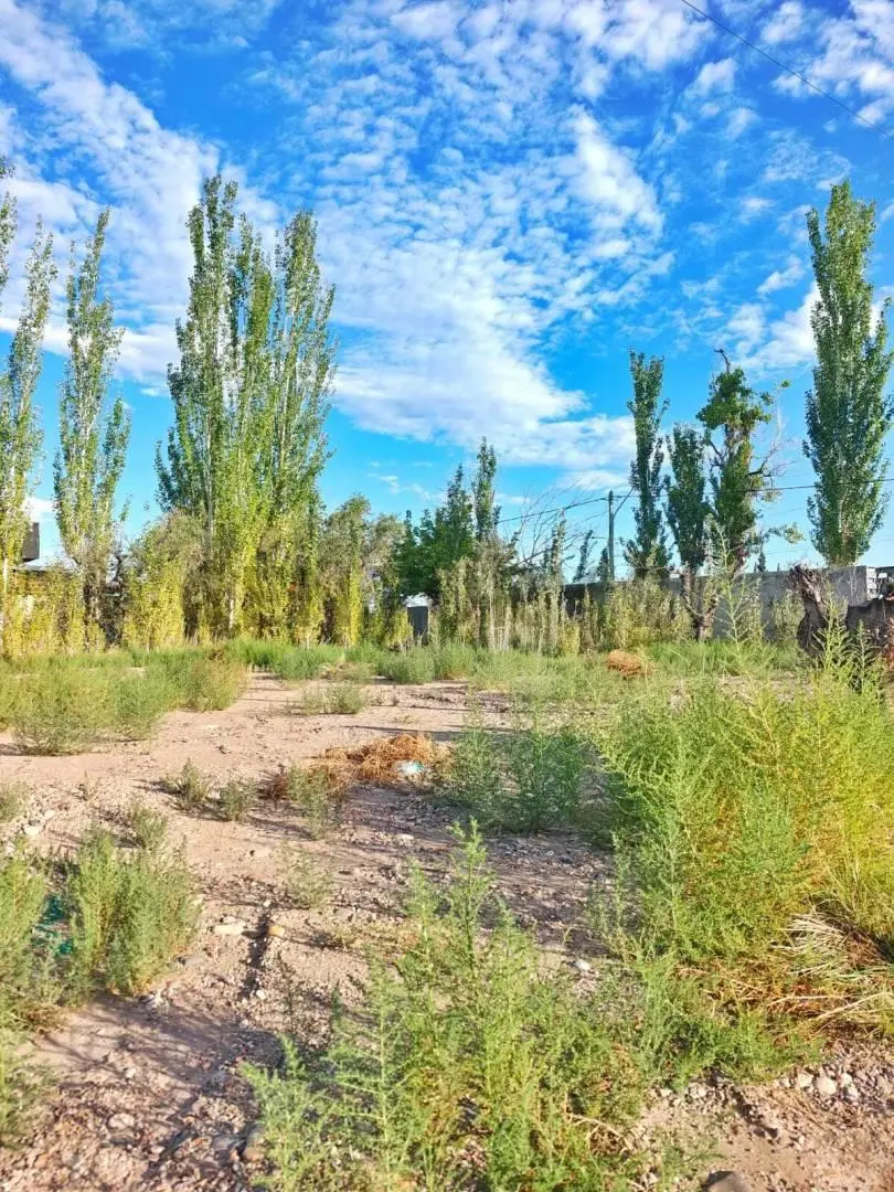 LOTE APTO PH BARRIO TERRA GRAPPA -  MAIPÚ 2