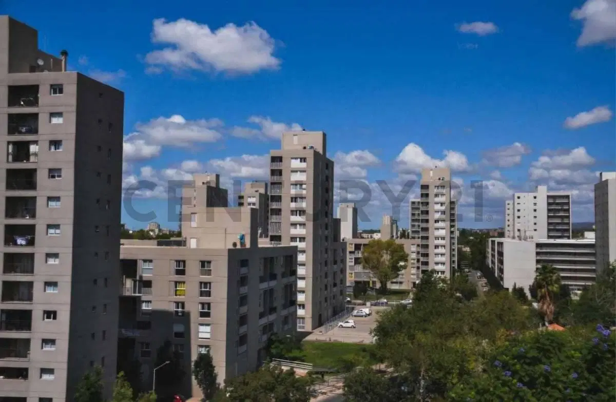 ALQUILER DEPARTAMENTO EN CALLE TIBURCIO BENEGAS, CIUDAD MENDOZA 5