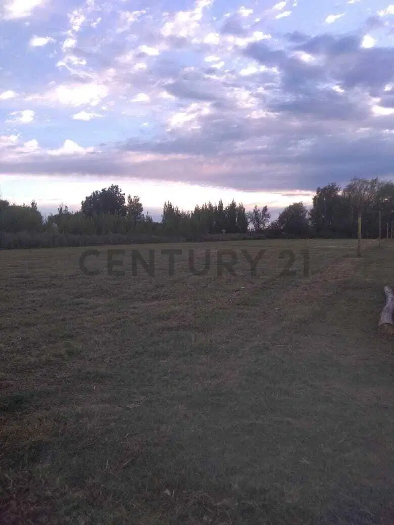 TERRENO EN VENTA - RUTA 40, EUGENIO BUSTOS 2