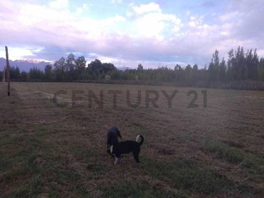 TERRENO EN VENTA - RUTA 40, EUGENIO BUSTOS