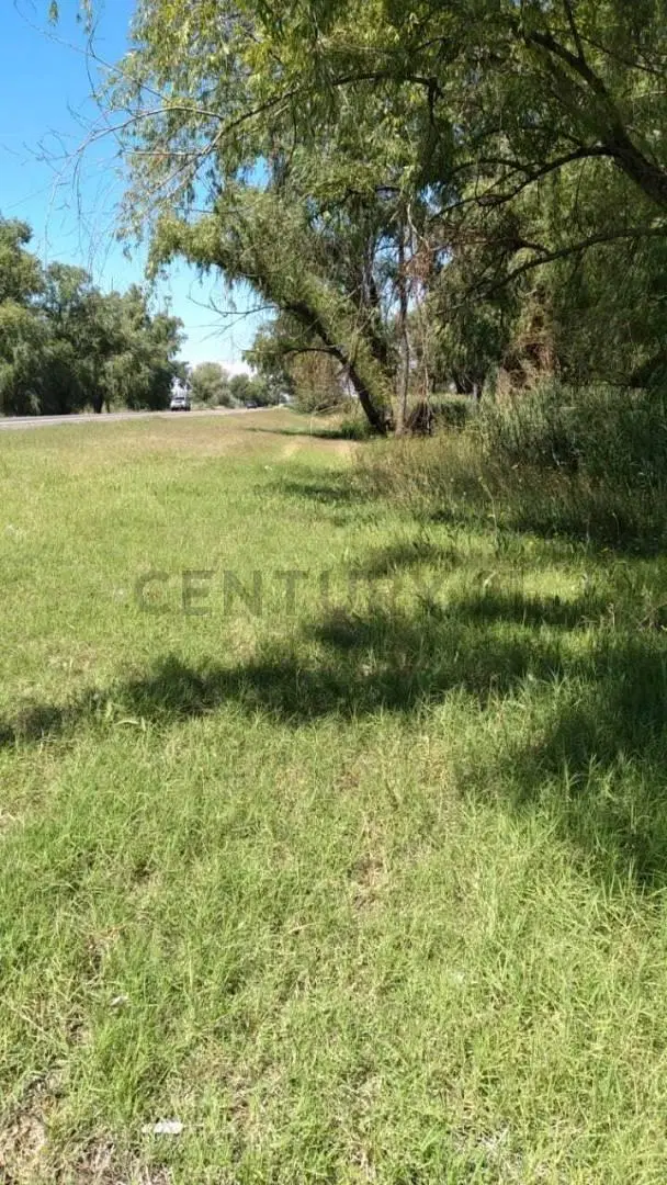 TERRENO EN VENTA - RUTA 40, EUGENIO BUSTOS 3