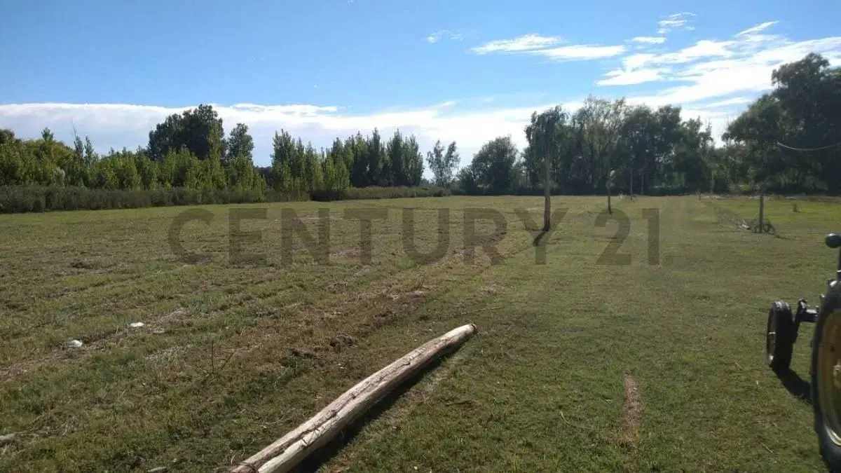 TERRENO EN VENTA - RUTA 40, EUGENIO BUSTOS 5