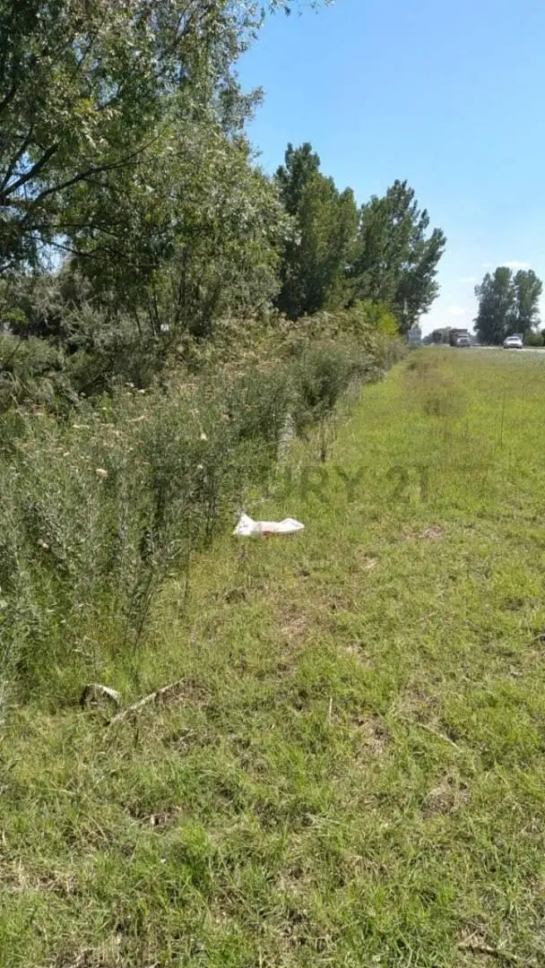 TERRENO EN VENTA - RUTA 40, EUGENIO BUSTOS 4