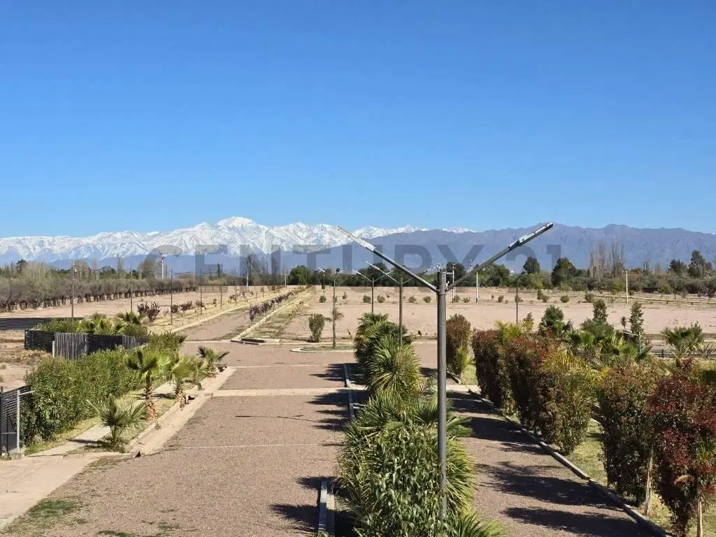 C21 Inmoandes VENDE LOTE en B° MISTERBIANCO - Cruz de Piedra, Maipú 4