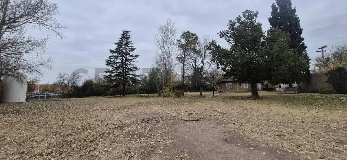 ALQUILER TERRENO COMERCIAL / INDUSTRIAL – CARRIL RODRÍGUEZ PEÑA 712, GODOY CRUZ 5