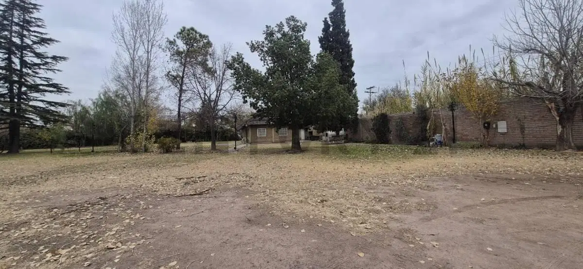 ALQUILER TERRENO COMERCIAL / INDUSTRIAL – CARRIL RODRÍGUEZ PEÑA 712, GODOY CRUZ 4