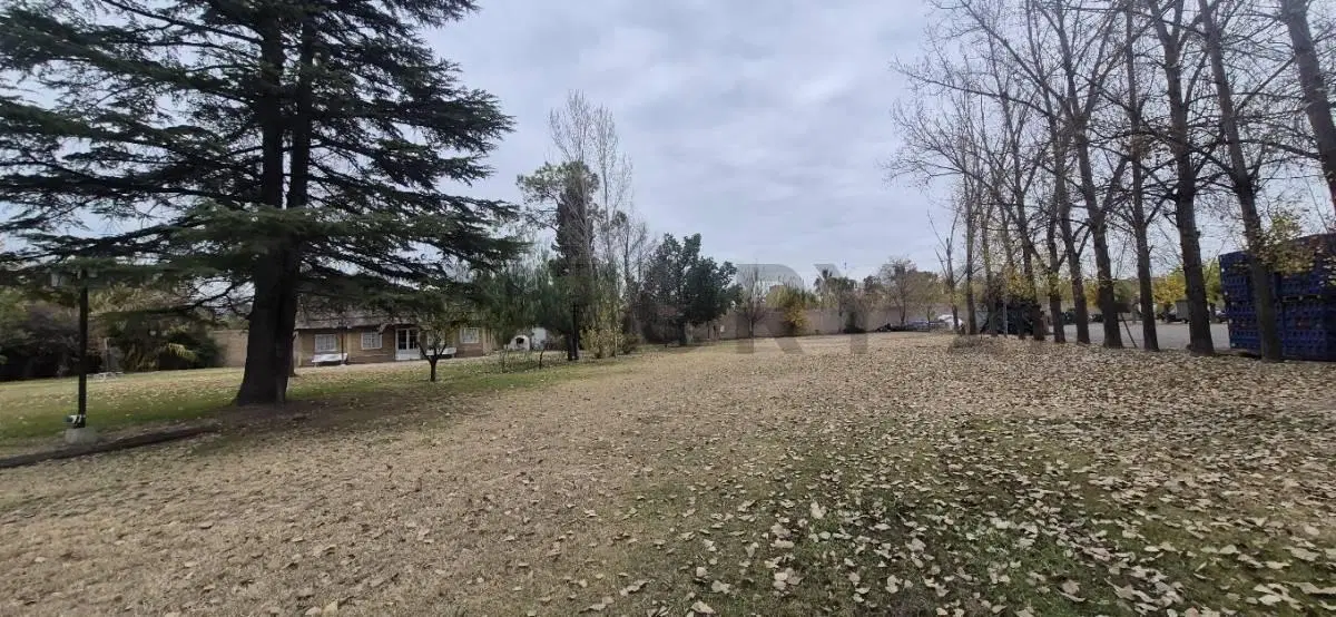 ALQUILER TERRENO COMERCIAL / INDUSTRIAL – CARRIL RODRÍGUEZ PEÑA 712, GODOY CRUZ 2