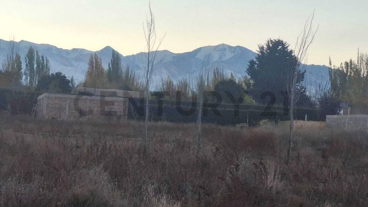 Foto de C21 Inmoandes Vende Terreno baldío, imagen 5