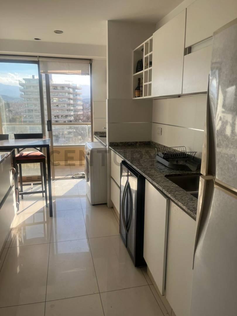 Foto de DEPARTAMENTO EN VENTA EN EXCLUSIVAS TORRES AGUSTINAS, imagen 5
