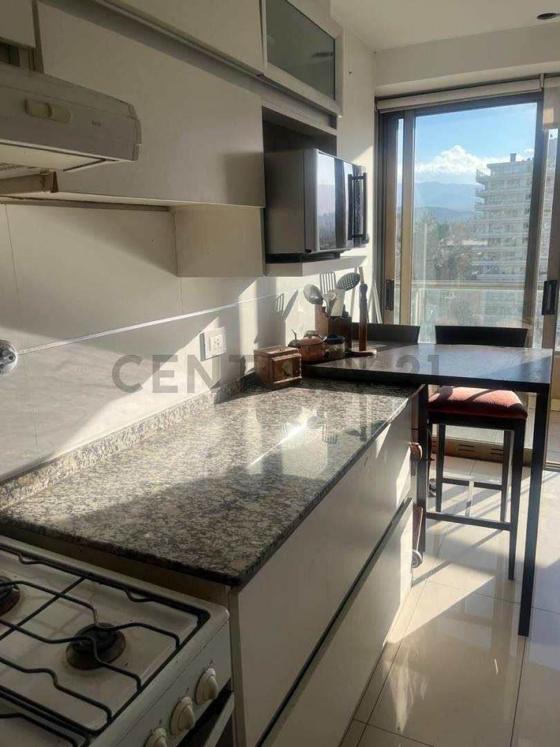 Foto de DEPARTAMENTO EN VENTA EN EXCLUSIVAS TORRES AGUSTINAS, imagen 3