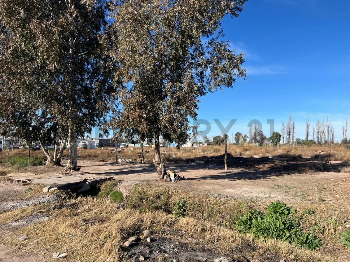 Foto de TERRENO ESTRATEGICO INDUSTRIAL EN CARRIL RODRIGUEZ PEÑA, imagen 3