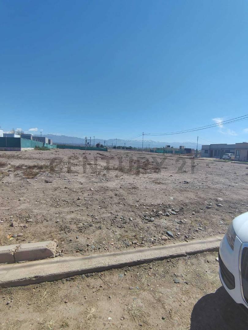 Foto de LOTE EN PINAR DEL SOL 9 - MAIPU MENDOZA, imagen 3